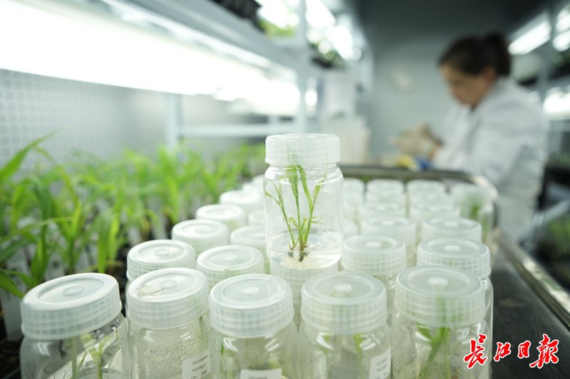 浙江农业科技：走在现代农业发展的前沿